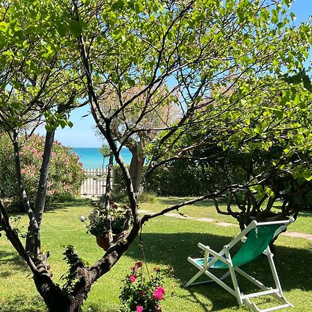 B&B I Versi Del Mare ロゼート・デッリ・アブルッツィ エクステリア 写真